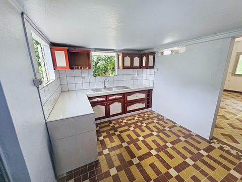 photo no. 4