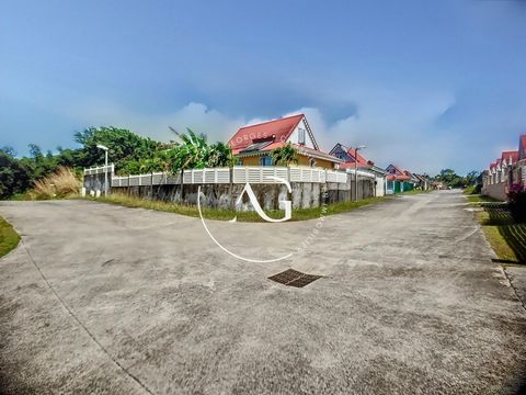 photo no. 3