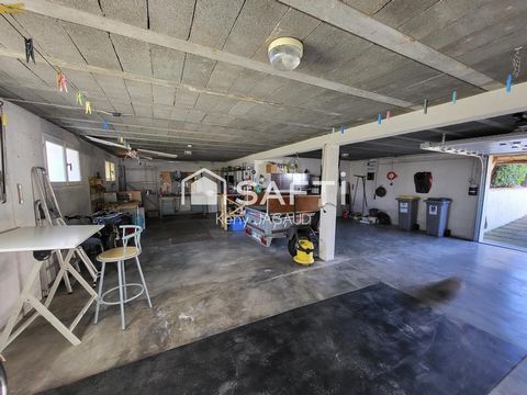 photo no. 13