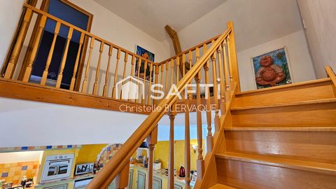 photo no. 10