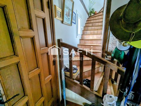 photo no. 10