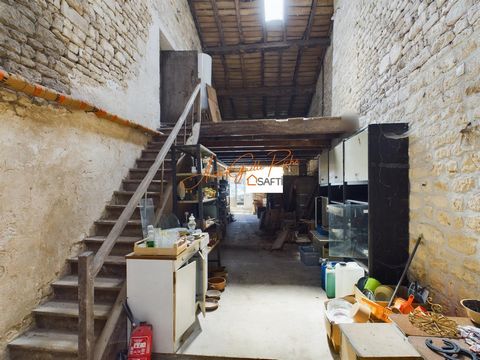 photo no. 11