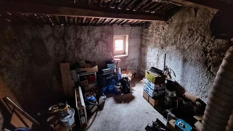 photo no. 11