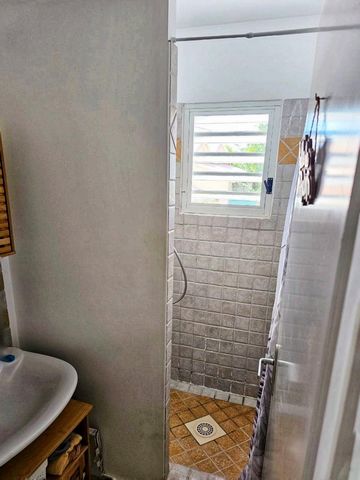 photo no. 13
