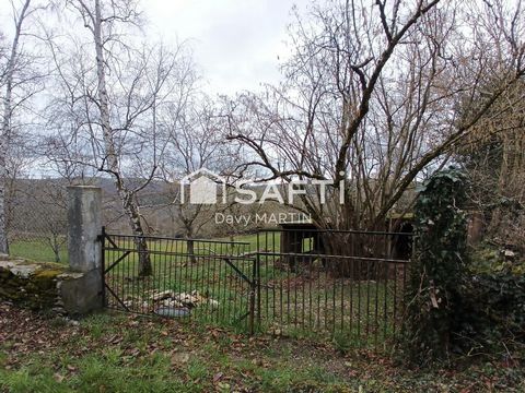 photo no. 9