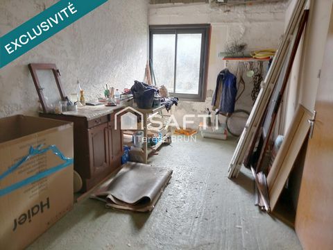 photo no. 8