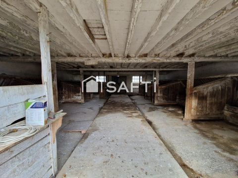 photo no. 13