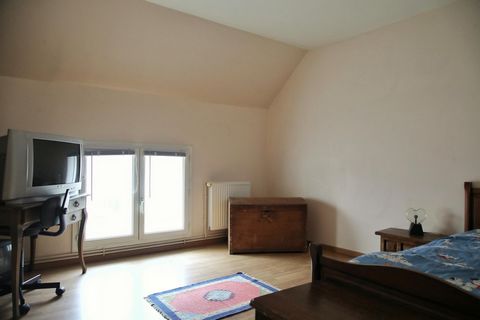 photo no. 6