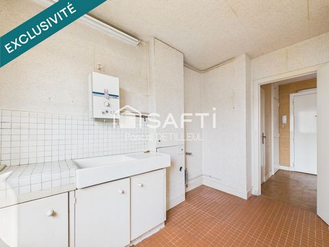 photo no. 12