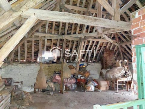 photo no. 12
