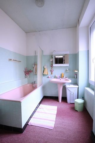 photo no. 8