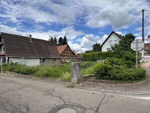 photo no. 1