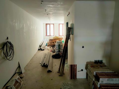 photo no. 7