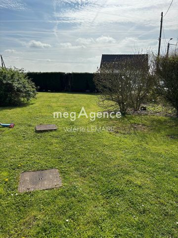 photo no. 16