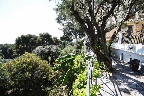 photo no. 27