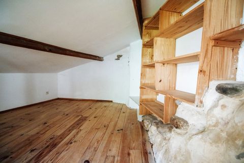 photo no. 6