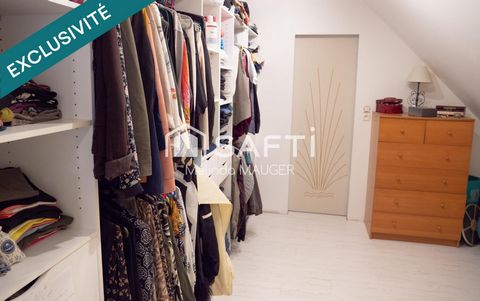 photo no. 11