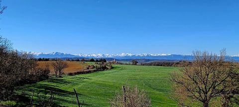 photo no. 2