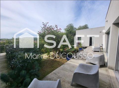 photo no. 16