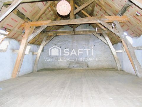 photo no. 8