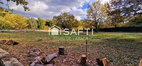 photo no. 15
