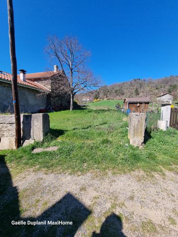 photo no. 19