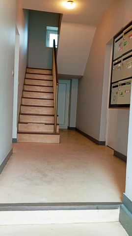 photo no. 8