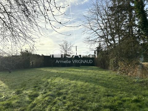 photo no. 3