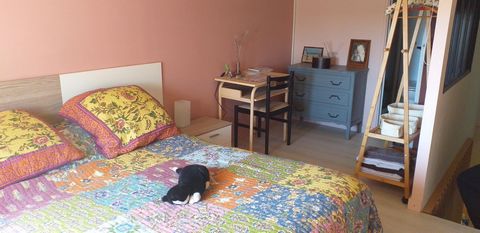 photo no. 16