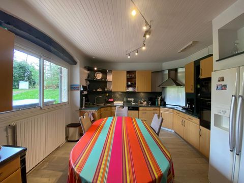 photo no. 12