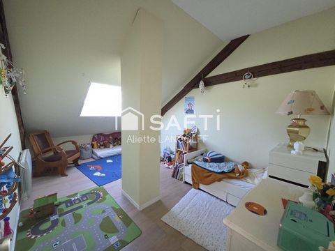 photo no. 11