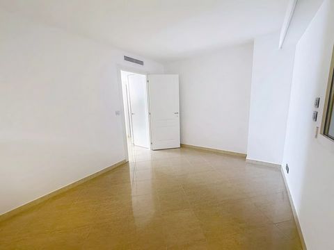 photo no. 12