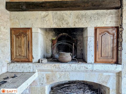 photo no. 14