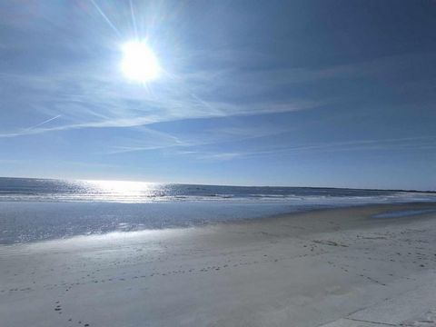 photo no. 12