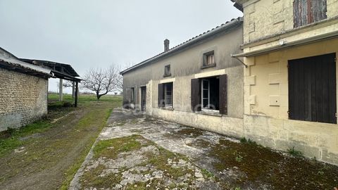 photo no. 1
