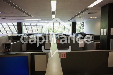 photo no. 2