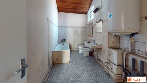 photo no. 8