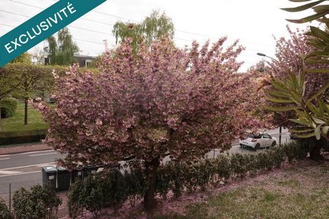 photo no. 10