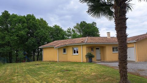 photo no. 18