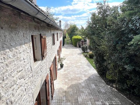 photo no. 13