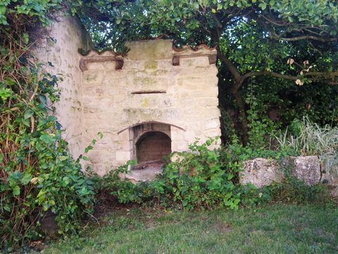 photo no. 17