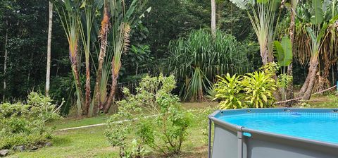 photo no. 10