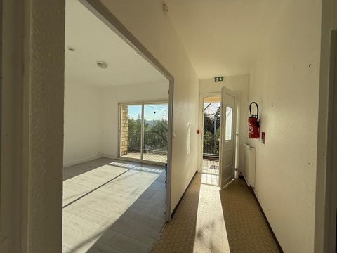 photo no. 8