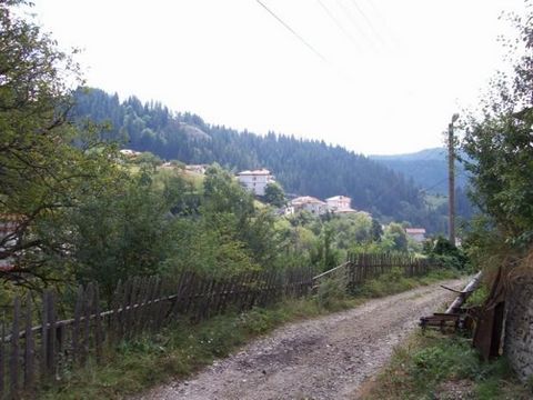 TEL.: ... ;0301 69999/ WIR BIETEN EIN GRUNDSTÜCK IM DORF MOMCHILOVTSI 660M² ZUM VERKAUF AN. DAS GELÄNDE IST ABSCHÜSSIG, DAS GRUNDSTÜCK BEFINDET SICH ZWISCHEN ZWEI STRASSEN UND IST GÜNSTIG FÜR DEN BAU. STRASSE, STROM, WASSER, KANALISATION, REGULIERUNG...