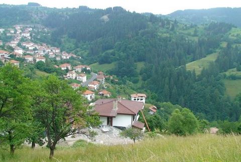 TEL: ... ; 0301 69999 /WIR BIETEN LANDWIRTSCHAFTLICHES LAND 1,7 HEKTAR ZUM VERKAUF AN, AN DER GRENZE DER REGULIERUNG / IM REGULIERUNGSVERFAHREN / UNGLAUBLICHES PANORAMA, STRASSE, STROM, WASSER, 15 KM VON DEN BÄDERN, 8 KM VON 'HAIDUSHKI MEADOWS'/ IN D...