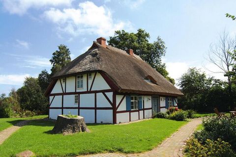 Modern studio holiday apartment on the upper floor of a thatched, listed half-timbered house from 1788. The house impresses with its quiet location in the southern part of Rügen on the Schoritzer Wiek. The Zudar peninsula is characterized by lush gre...