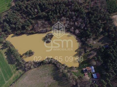 EXCLUSIVE A few minutes from Ste Maure de Tne, lovers of fishing, hunting, nature or simply calm will be seduced by this pleasant property spread over 21 hectares closed. The main house with dominant views of the pond of +/- 3 hectares offers on the ...