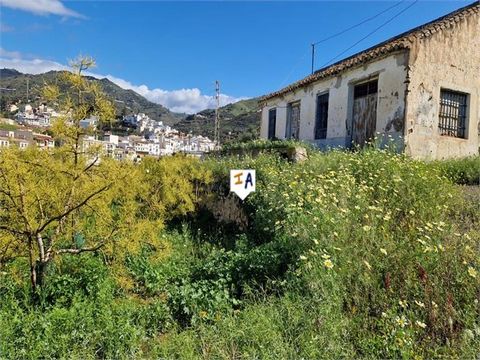 Wonderful farm of more than 4 hectares located in the town of Algarrobo, just 10 minutes from the beach near the highway and just 30 minutes from Malaga airport. This Farm consists of 740 mango trees and 1,800 avocado trees with an annual production ...