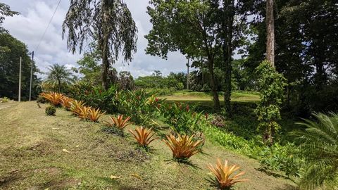 This property is located in an ecological residence 5 km from the best beach in Punta Uva. a short distance from the Changuinola airport (Panama); just 2 km from the recently paved new route #36; near the Sixaola public hospital; 12 km from Puerto Vi...
