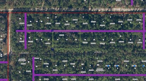 A VACANT LOT IN PALATKA CITY IN PUTNAM COUNTY!!!!